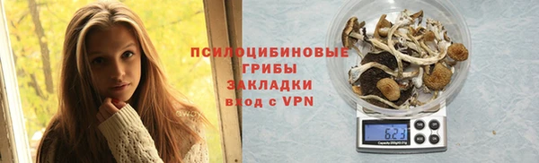 твердый Богородицк