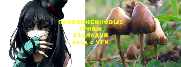 первитин Белокуриха