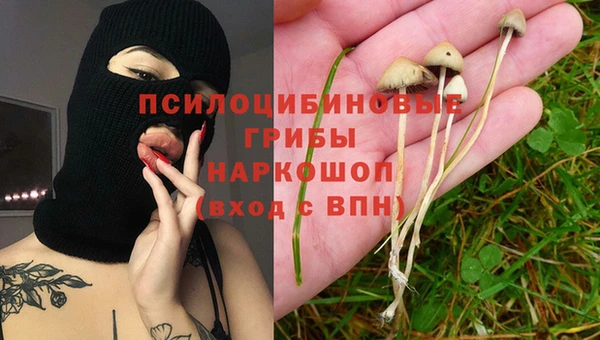 твердый Богородицк