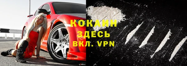 твердый Богородицк